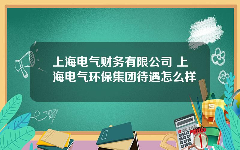 上海电气财务有限公司 上海电气环保集团待遇怎么样